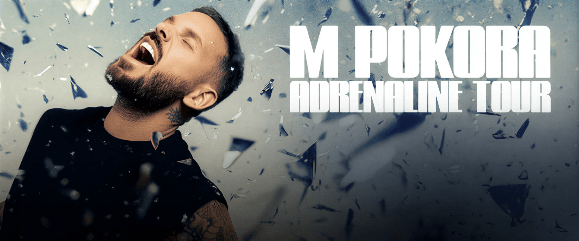Matt Pokora - Adrenaline Tour